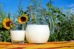 Positive and negative aspects of Milk